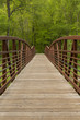 Footbridge In The Park