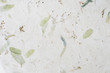 © tanawatpontchour - Mulberry paper texture