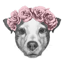 Original Drawing Of Jack Russell With Floral Head Wreath. Isolated On White Background.