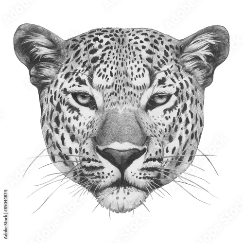 Original drawing of Leopard. Isolated on white background. Fototapete