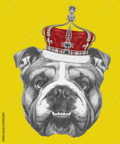 Plakat na papierze fotorealistycznym Ręcznie rysowane portret Buldoga angielskiego z korony. 
