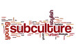 Subculture word cloud concept