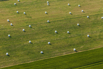 Wall Mural - aerial view of hay bales on the field