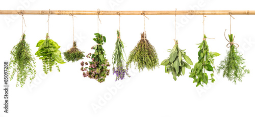 Fototapeta do kuchni Hanging fresh herbs basil, sage, thyme, dill, mint, lavender