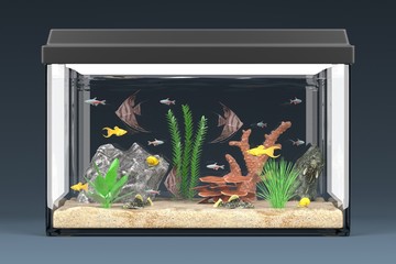 Wall Mural - 3d render of fish aquarium