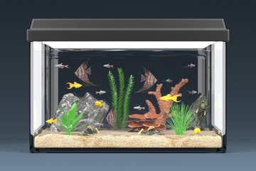 3d render of fish aquarium