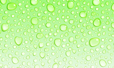 Poster - light green background of water drops