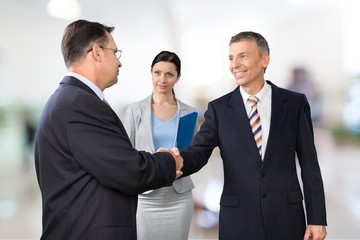 Wall Mural - Interview, Job Interview, Handshake.