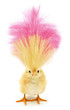 © Uros Petrovic - Crazy chick with ridiculous yellow pink hair