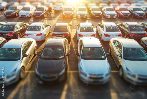 Fotografia  Dealer Vehicles in Stock