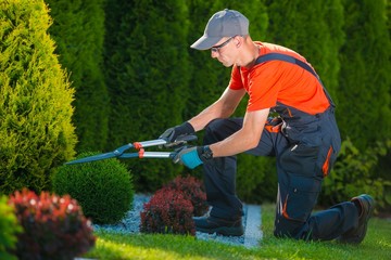 Professional Gardener at Work