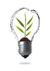 green energy concept, plant growing inside the light bulb with water