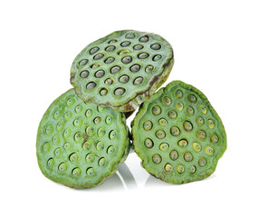 Sticker - Lotus seeds green isolated on white.