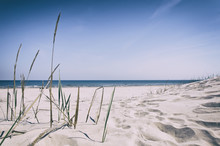 Grass Sand Dune Beach Sea View, Baltic Sea