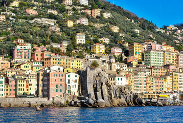 Wall Mural - The colored houses of Camogli as seen from the sea