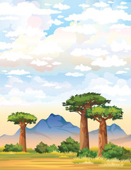 Poster - Baobabs and mountain on a cloudy sky.