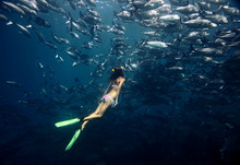 Freediver And Fish