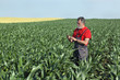 © sima - Agricultural scene, farmer in corn field typing to phone or tablet