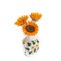 Gazania in vintage vase isolated on white background