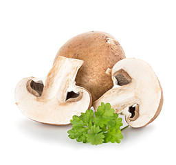 Wall Mural - Brown champignons mushrooms