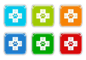 Wall Mural - set of squared colorful buttons with veterinary symbol
