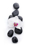 Fototapeta Kamienie - White orchid and spa stones 