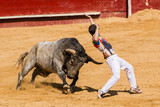 Competición de recortes con toros bravos