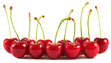 Bing Cherries lined up in two rows and isolated on white as a fruit design element. 