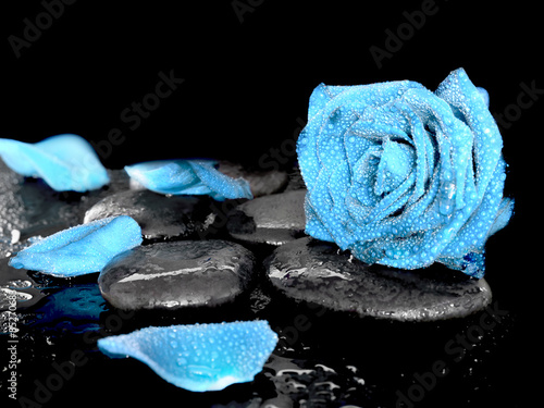 Naklejka - mata magnetyczna na lodówkę Niebieska róża na kamieniach - ZEN