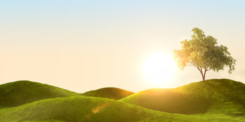 3d rendering of a green field