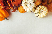 Squash & Autumn Foliage Thanksgiving And Fall Theme Background