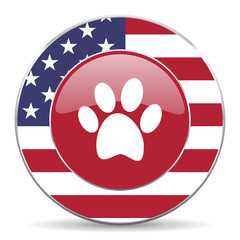 Poster - foot american icon