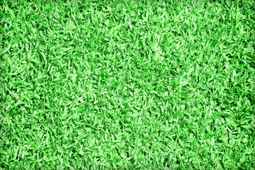 Beautiful green grass texture