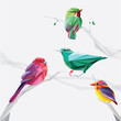 low polygon style colorful birds on tree branches set collection