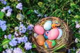 Fototapeta Tulipany - colorful easter eggs in grass nest.