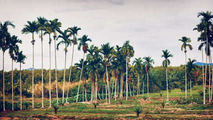 Sticker - Thai Landscape