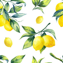 A Seamless Lemon Pattern On White Background.