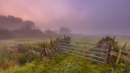 Poster - Misty Farmland gate