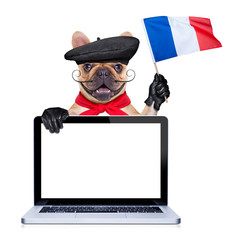 Poster - french proud   dog