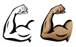 Muscular Arm Flexing Bicep Isolated Vector Illustration
