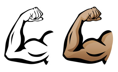 muscular arm flexing bicep isolated vector illustration