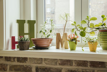 Window Sill With Plants And Letters H And M