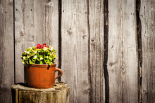 Flowers In Clay Pot On Wooden Background.