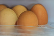 eggs in refrigerator