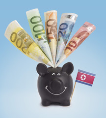 Various european banknotes in a happy piggybank of North Korea.(