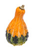 Yellow and Green Gourd