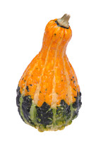 Yellow And Green Gourd