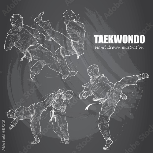 Dekoracja na wymiar  ilustracja-taekwondo