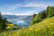 View over Zell am See, Austria
