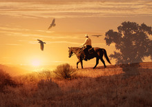 A Cowboy On His Horse With Crows Flying Above.  A Cowboy Takes A Look To His Right And See Three Large Crows Flying Towards Him.